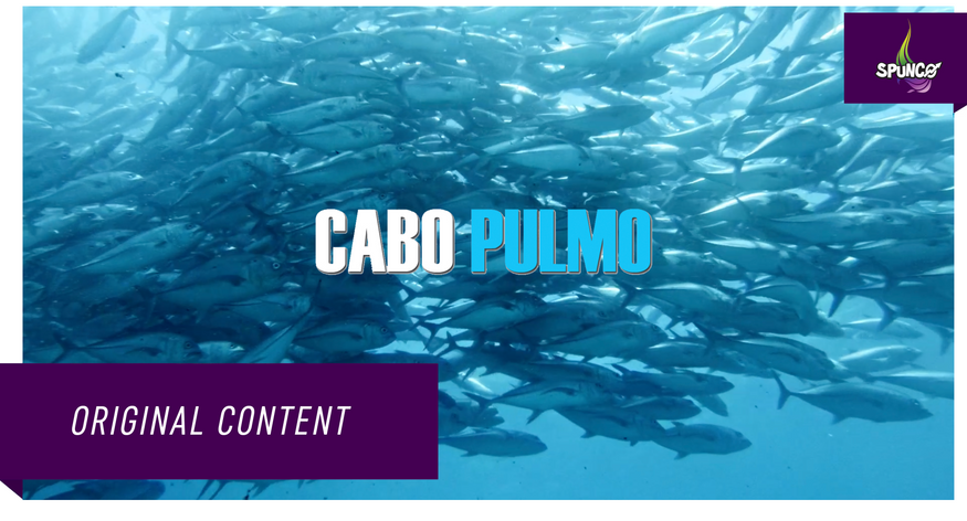 Cabo Pulmo  - Official Trailer